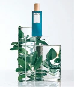 Loewe - Herenparfum - 7 Cobalt - Eau De Parfum 100 Ml -Parfum Korting Winkel 1026x1200 2