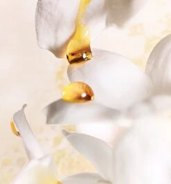 Dior J'adore 30 Ml - Eau De Parfum - Damesparfum -Parfum Korting Winkel 1110x1200 1