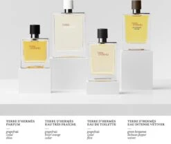Hermès Terre D'Hermès 50ml - Eau De Toilette - Herenparfum -Parfum Korting Winkel 1200x1014 3