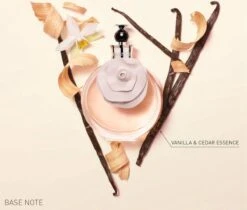 Valentino Valentina Eau De Parfum 50ml 21 Valentino Valentina Eau De Parfum 50ml -Parfum Korting Winkel 1200x1019