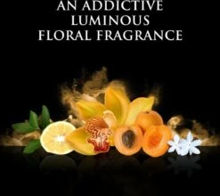 Beyonce Rise - 100ml - Eau De Parfum -Parfum Korting Winkel 1200x1068