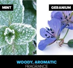 Adidas Ice Dive - 100ml - Eau De Toilette 18 Adidas Ice Dive - 100ml - Eau De Toilette -Parfum Korting Winkel 1200x1113