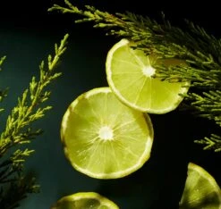 RITUALS Life Is A Journey - Homme Car Perfume - 6 Ml -Parfum Korting Winkel 1200x1136 6