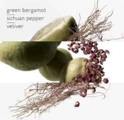 Hermes - Terre D´Hermes Eau Intense Vetiver - Eau De Parfum - 50ML -Parfum Korting Winkel 1200x1161 2