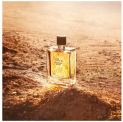 Hermes - Terre D´Hermes Eau Intense Vetiver - Eau De Parfum - 50ML -Parfum Korting Winkel 1200x1186 2