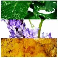 Davidoff Cool Water 125 Ml - Eau De Toilette - Herenparfum -Parfum Korting Winkel 1200x1186 4