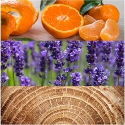 Calvin Klein Obsession 125 Ml - Eau De Toilette - Herenparfum -Parfum Korting Winkel 1200x1194 4