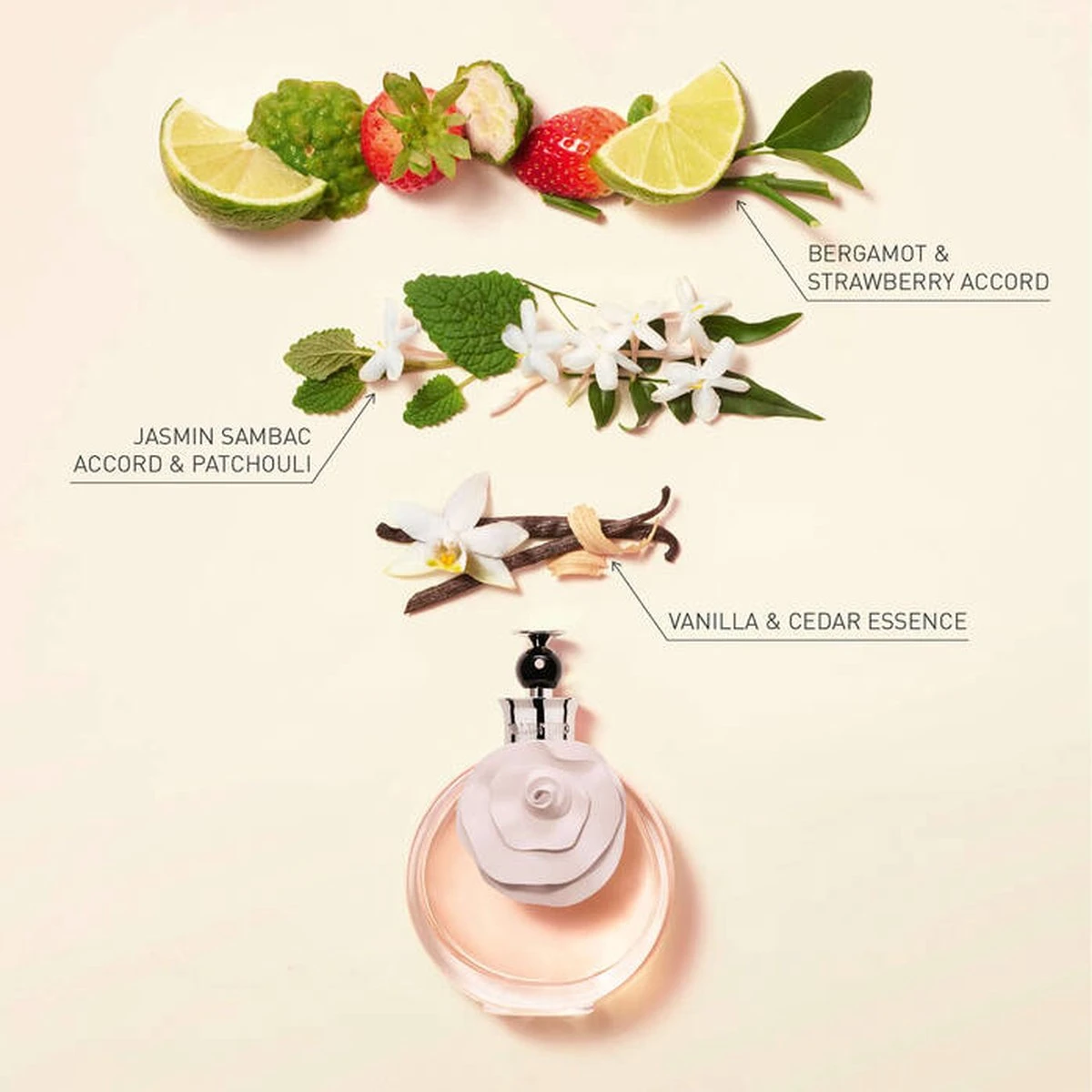 Valentino Valentina Eau De Parfum 50ml 2 Valentino Valentina Eau De Parfum 50ml - Afbeelding 2