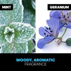 Adidas Ice Dive - 100ml - Eau De Toilette 16 Adidas Ice Dive - 100ml - Eau De Toilette -Parfum Korting Winkel 1200x1200 136