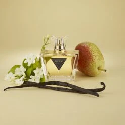 Guess Seductive 75 Ml - Eau De Toilette - Damesparfum 5 Guess Seductive 75 Ml - Eau De Toilette - Damesparfum -Parfum Korting Winkel 1200x1200 158