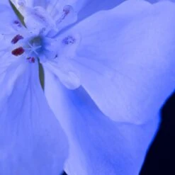 Yves Saint Laurent - Eau De Parfum - Y Le Parfum - 100 Ml -Parfum Korting Winkel 1200x1200 280