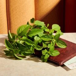 Gucci Guilty Pour Homme Parfum -Parfum Korting Winkel 1200x1200 325