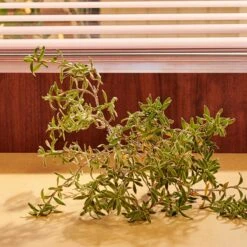 Gucci Guilty Pour Homme Parfum -Parfum Korting Winkel 1200x1200 326