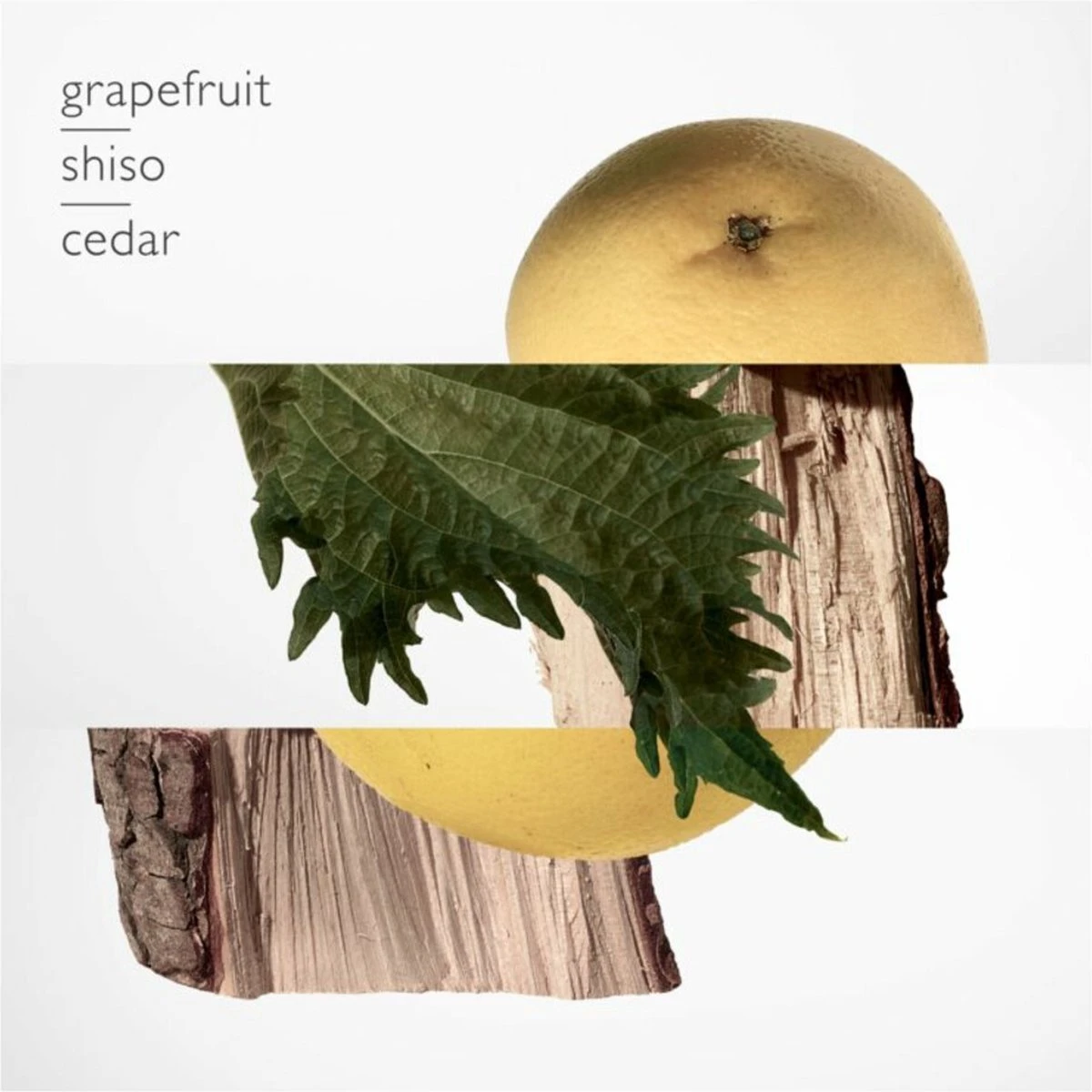 Hermes Terre D'Hermes Parfum 125 Ml 2 Hermes Terre D'Hermes Parfum 125 Ml - Afbeelding 2