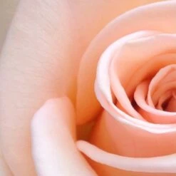 Spider-Man Eau De Toilette Spray - 100 Ml - Parfum Voor Kinderen -Parfum Korting Winkel 1200x1200 399