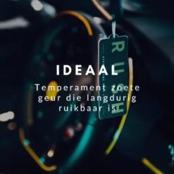 RUSH Autoparfum Sweet Sense - Auto Geurverfrisser - Parfum Voor Dames En Heren -Parfum Korting Winkel 1200x1200 410