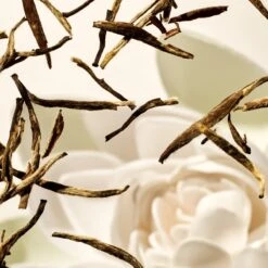 RITUALS Life Is A Journey - Karma Car Perfume - 6 G -Parfum Korting Winkel 1200x1200 418