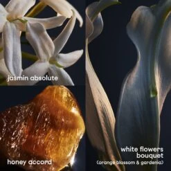 Paco Rabanne Lady Million 80 Ml - Eau De Parfum - Damesparfum -Parfum Korting Winkel 1200x1200 6