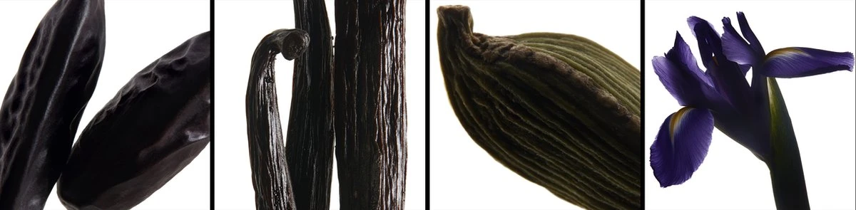 Yves Saint Laurent La Nuit De L'Homme Eau De Toilette Spray 40 Ml 5 Yves Saint Laurent La Nuit De L'Homme Eau De Toilette Spray 40 Ml - Afbeelding 5