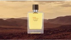 Hermes - Terre D´Hermes Eau Intense Vetiver - Eau De Parfum - 50ML -Parfum Korting Winkel 1200x686