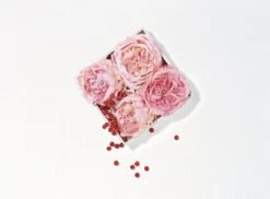 Lancôme Miracle 30 Ml - Eau De Parfum - Damesparfum -Parfum Korting Winkel 1200x886 2