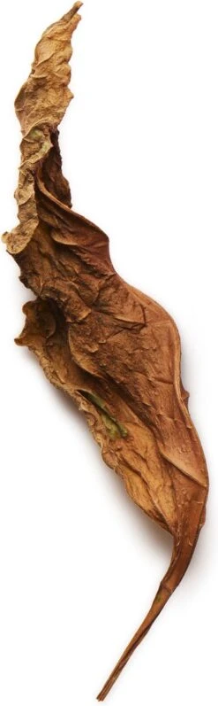 Giorgio Armani Acqua Di Gio Absolu 75ml - Eau De Parfum - Herenparfum -Parfum Korting Winkel 372x1200 2