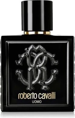 Roberto Cavalli Uomo Eau De Toilette Spray 100 Ml -Parfum Korting Winkel 763x1200 3