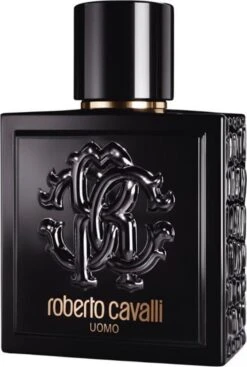Roberto Cavalli Uomo Eau De Toilette Spray 100 Ml -Parfum Korting Winkel 808x1200 2