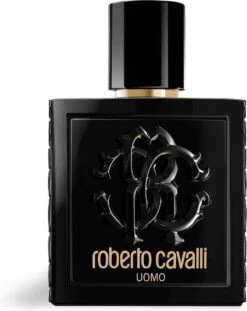 Roberto Cavalli Uomo Eau De Toilette Spray 100 Ml -Parfum Korting Winkel 952x1200 2